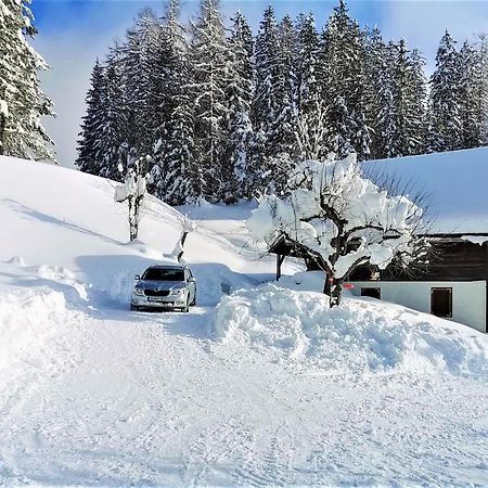 Natur pur Pikovo Villa Crna na Koroskem Bagian luar foto