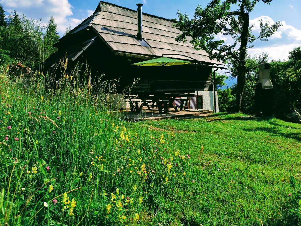 Natur pur Pikovo Villa Crna na Koroskem Bagian luar foto