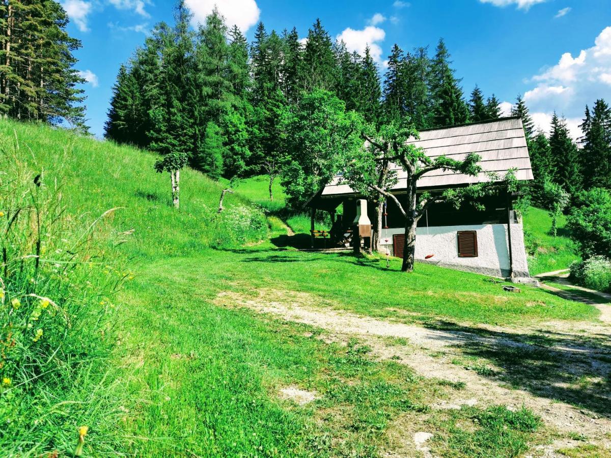 Natur pur Pikovo Villa Crna na Koroskem Bagian luar foto