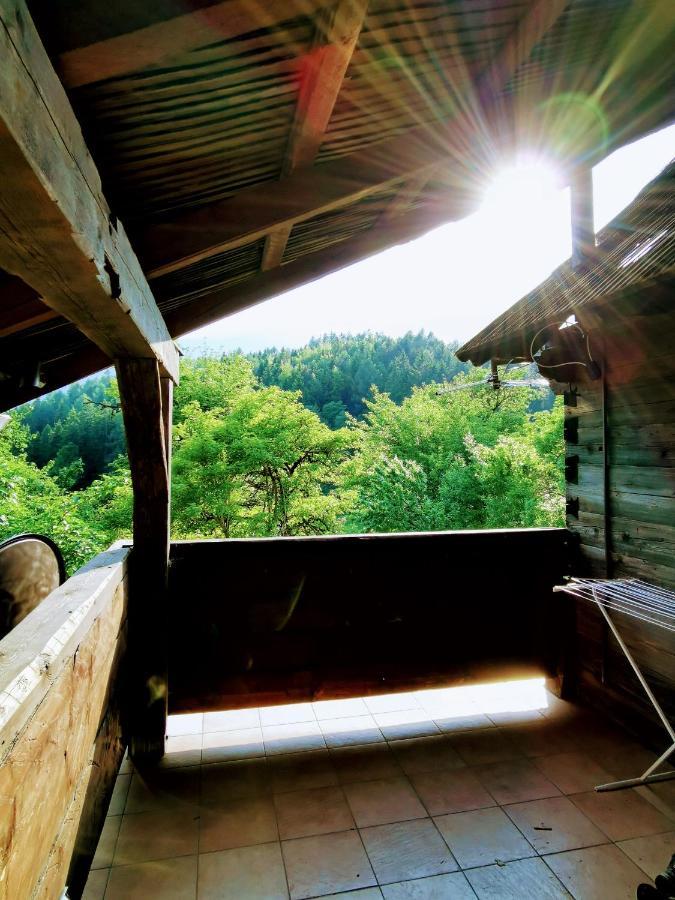 Natur pur Pikovo Villa Crna na Koroskem Bagian luar foto