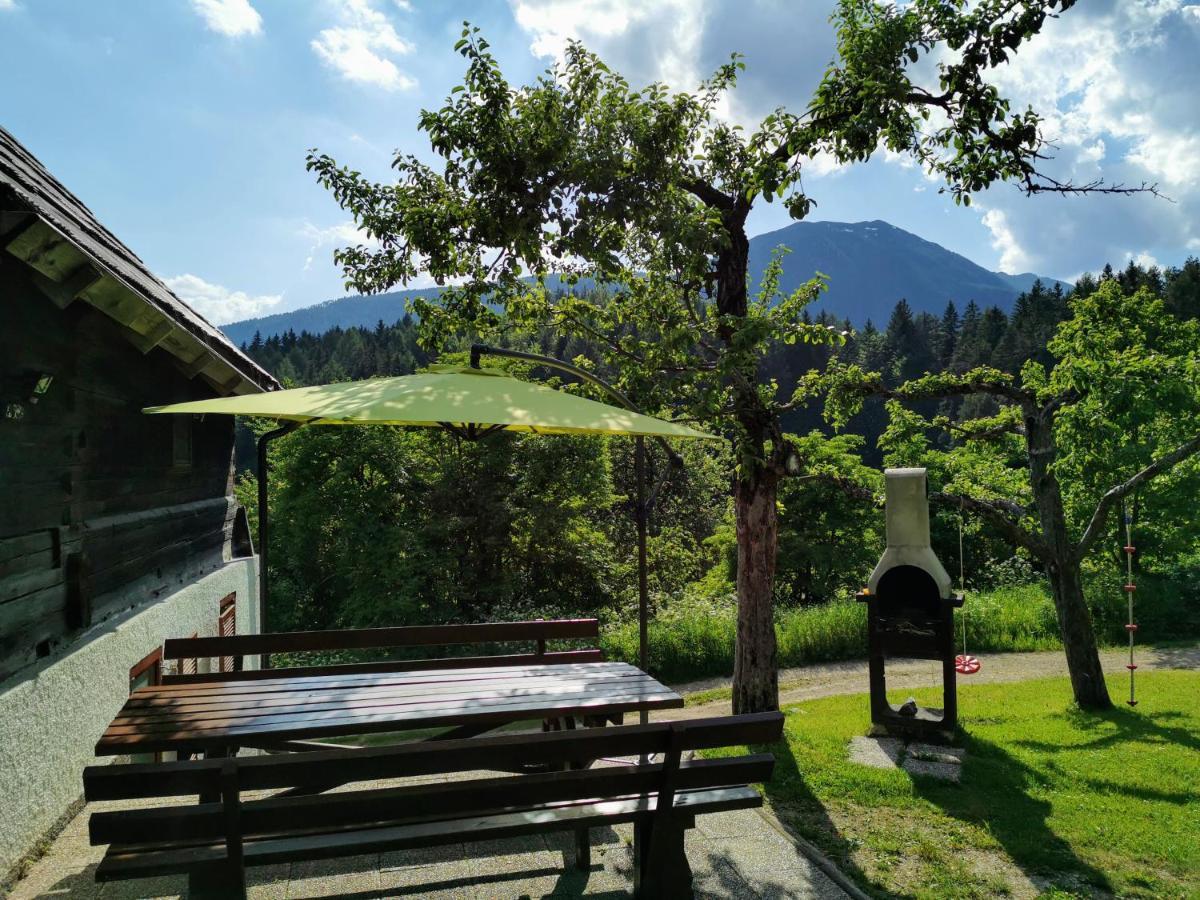 Natur pur Pikovo Villa Crna na Koroskem Bagian luar foto