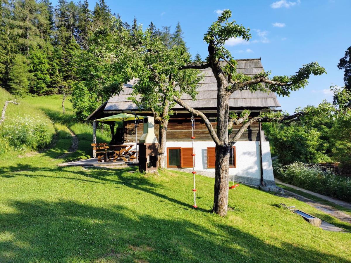 Natur pur Pikovo Villa Crna na Koroskem Bagian luar foto