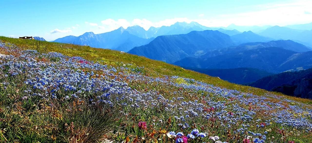 Natur pur Pikovo Villa Crna na Koroskem Bagian luar foto