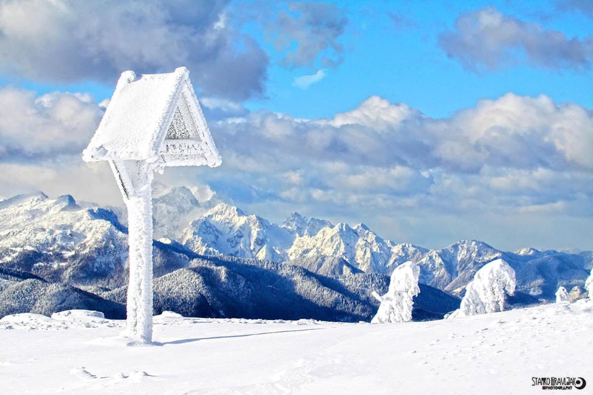 Natur pur Pikovo Villa Crna na Koroskem Bagian luar foto