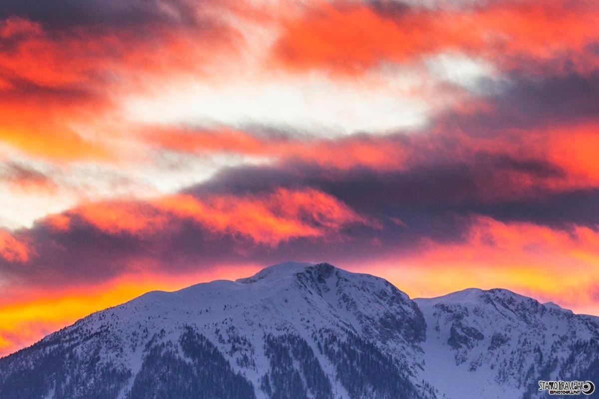 Natur pur Pikovo Villa Crna na Koroskem Bagian luar foto