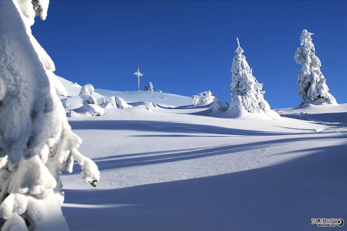 Natur pur Pikovo Villa Crna na Koroskem Bagian luar foto