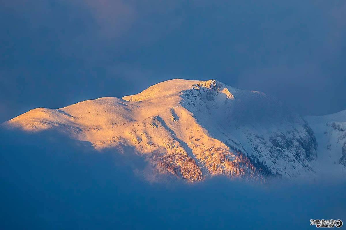 Natur pur Pikovo Villa Crna na Koroskem Bagian luar foto