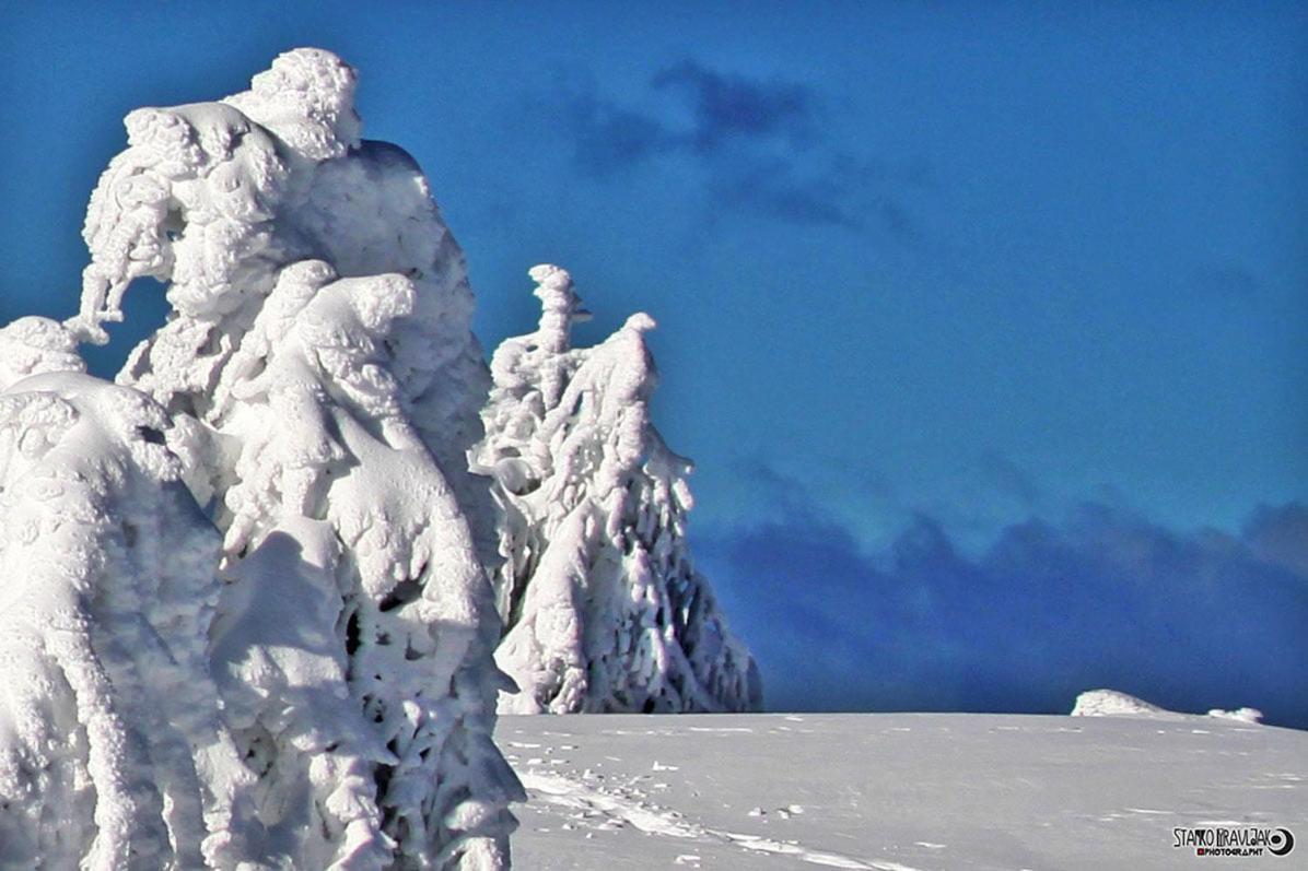 Natur pur Pikovo Villa Crna na Koroskem Bagian luar foto