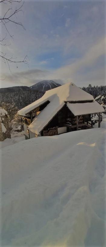 Natur pur Pikovo Villa Crna na Koroskem Bagian luar foto