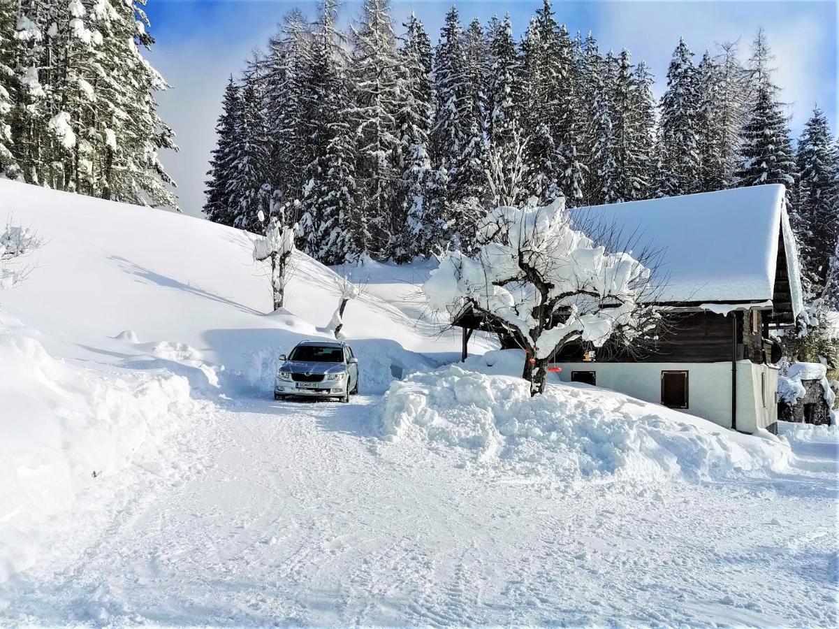 Natur pur Pikovo Villa Crna na Koroskem Bagian luar foto